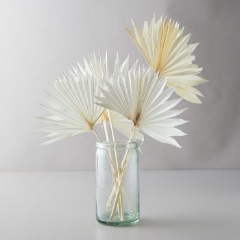 Preserved White Palm Frond Bunch
